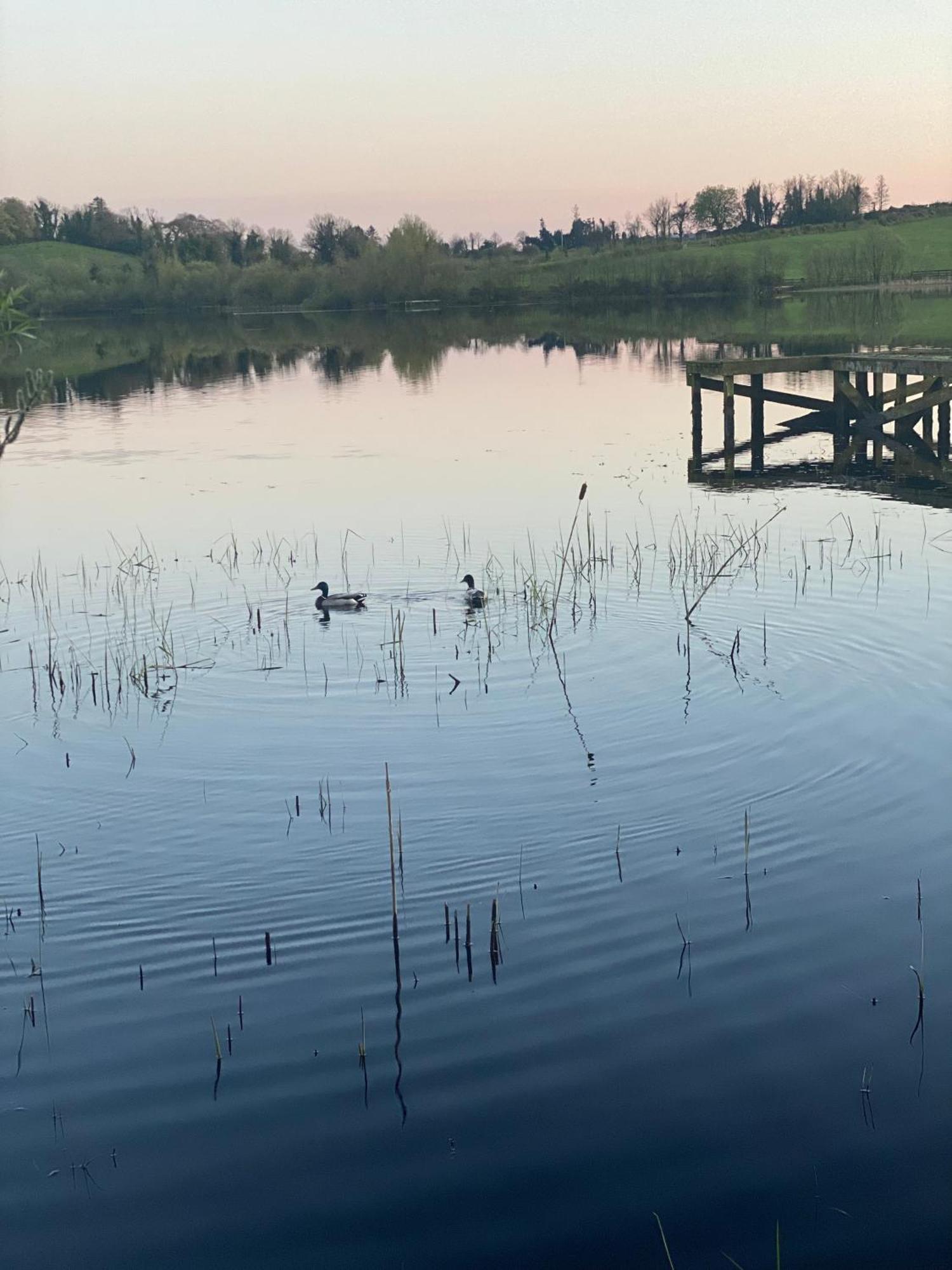 Killyfole Lakeside Lodges Corranny エクステリア 写真