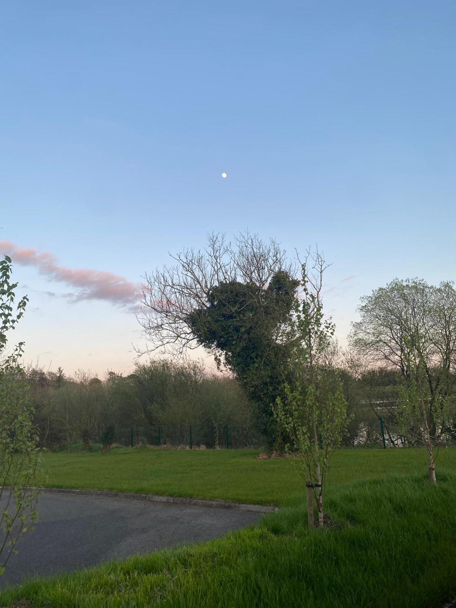 Killyfole Lakeside Lodges Corranny エクステリア 写真